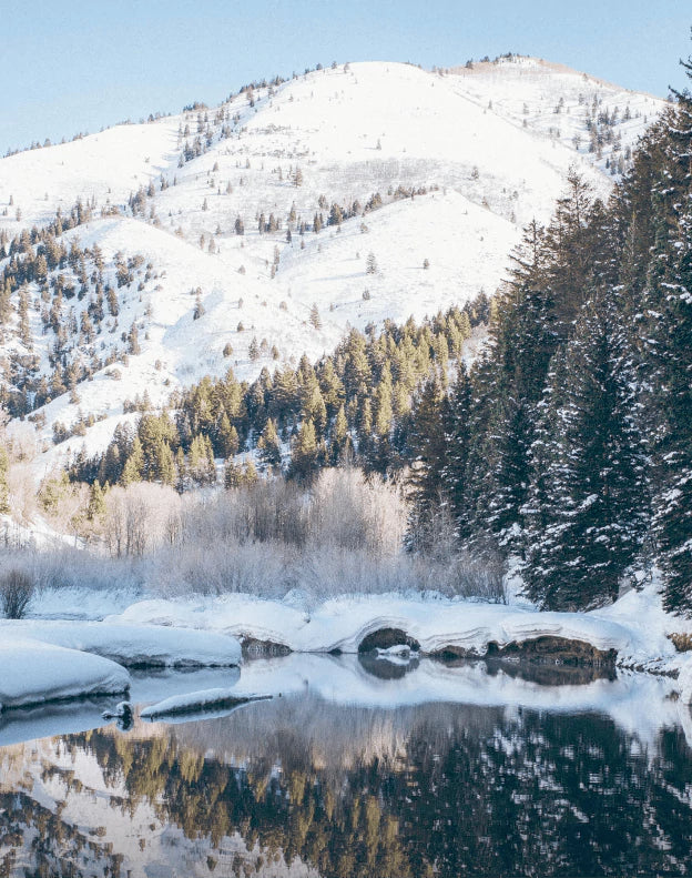 Zettlab_AI_NAS_D4D6_-_AI_photo_category_1